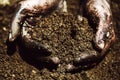 Gardener hands preparing soil for seedling in ground