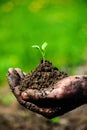 Gardener hands preparing soil for seedling in ground