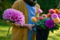 Gardener harvesting dahlia blooms. Woman holding flower bucket full of beautiful dahlia blooms. Growing cut flowers.