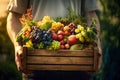 gardener holding a crate of summer fruit, grapes, peaches, apricots. harvest concept