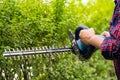 Gardener holding electric hedge trimmer to cut the treetop in garden Royalty Free Stock Photo