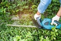 Gardener holding electric hedge trimmer to cut the treetop in garden Royalty Free Stock Photo