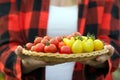 Gardener is holding a plate with red and yellow cherry tomatoes Royalty Free Stock Photo