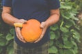 Gardener holding a pumkin in his hands