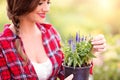 Gardener holding seedling in flower pot, green sunny nature Royalty Free Stock Photo