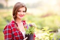 Gardener holding seedling in flower pot, green sunny nature Royalty Free Stock Photo