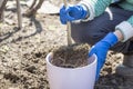 Gardener holds in hands home plant prepared for transplanting into a new pot. Repotting of plant showing roots in soil shaped like Royalty Free Stock Photo