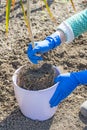 Gardener holds in hands home plant prepared for transplanting into a new pot. Repotting of plant showing roots in soil shaped like Royalty Free Stock Photo