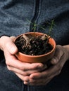 A gardener holds a plant pot with various fir trees seedlings