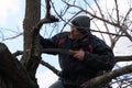 Gardener holds rejuvenating pruning of old fruit tree. Royalty Free Stock Photo