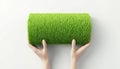 Gardener Holds Roll Of Artificial Grass For Landscaping Yard With Synthetic Turf Solution Royalty Free Stock Photo