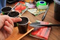 Gardener holds seed of pepper in his hand for sowing in containers with use garden tools. Closeup. Royalty Free Stock Photo