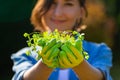 The gardener holds young sprouts in her hands