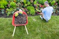 Gardener landscaping a garden Royalty Free Stock Photo