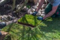 Gardener laying the last missing piece of turf in a home garden Royalty Free Stock Photo