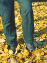 Gardener legs with rubbery boots walk in bright yellow leaves