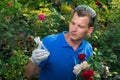 Gardener looking at flask with fertilizer on the roses background