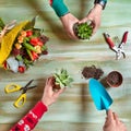 Gardener making terrarium