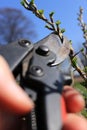 A gardener man cuts tree branch with thorns with pruning shears secateurs on garden in autumn time. He prunes bush shrubs with Royalty Free Stock Photo