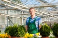 Gardener in market nursery Royalty Free Stock Photo