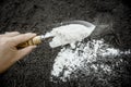 Gardener mixing dolomitic limestone powder in garden soil to change the pH ant to provide more nutrients for plants. Royalty Free Stock Photo