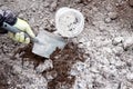 Gardener mixing wood burn ash powder in garden black soil to fertilize soil.