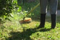 Gardener mows grass cutting in the garden with trimmer Royalty Free Stock Photo