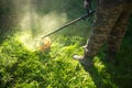 Gardener mows lawn with trimmer in the backyard