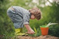 Gardener. Organic farm. A child plays a farmer. A boy on the field grows vegetables. Bio food.