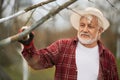 Gardener in panama hat whitewashing trees.