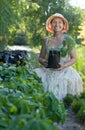 Gardener with Parthenocissus tricuspidata sprouts