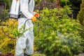 Gardener Performing Pesticide Application Royalty Free Stock Photo