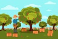 Gardener picking apples in basket. Fruit farm. Natural landscape. Wooden boxes with harvest. Flat vector design