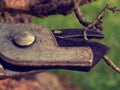 Gardener pincers trimming bonsai tree. Cleaning treetop Royalty Free Stock Photo