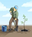 Gardener plant a tree