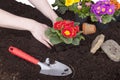 Gardener planting flowers