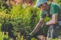 Gardener Planting New Trees