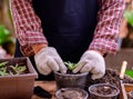 Gardener planting the tree and growth up. Home gardening nature and environment hobby. Royalty Free Stock Photo