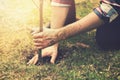 Gardener planting a tree