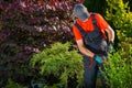 Gardener Plants Cutting