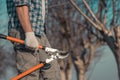 Gardener posing with telescopic ratchet bypass lopper in walnut orchard ready for pruning