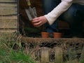 Gardener preparing plant pots in rustic shed