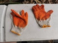 The Gardener protective gloves on the Ground