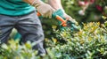 Gardener pruning bushes.AI generated image Royalty Free Stock Photo