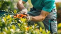 The gardener pruning bushes.AI generated image Royalty Free Stock Photo