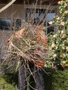Gardener is pruning the bushes, clearing branches, spring
