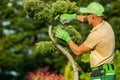 Gardener Pruning Decorative Trees Inside a Mature Garden Royalty Free Stock Photo