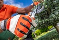 Gardener Pruning Garden Trees Using Pro Garden Tools Royalty Free Stock Photo