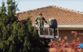 Gardener pruning a tree