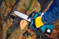 A gardener pruns trees with a lightweight cordless chain saw. Work in the autumn garden Royalty Free Stock Photo